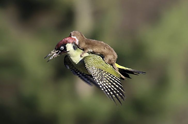 20 Pics That Prove Nature Always Has Something to Show Us