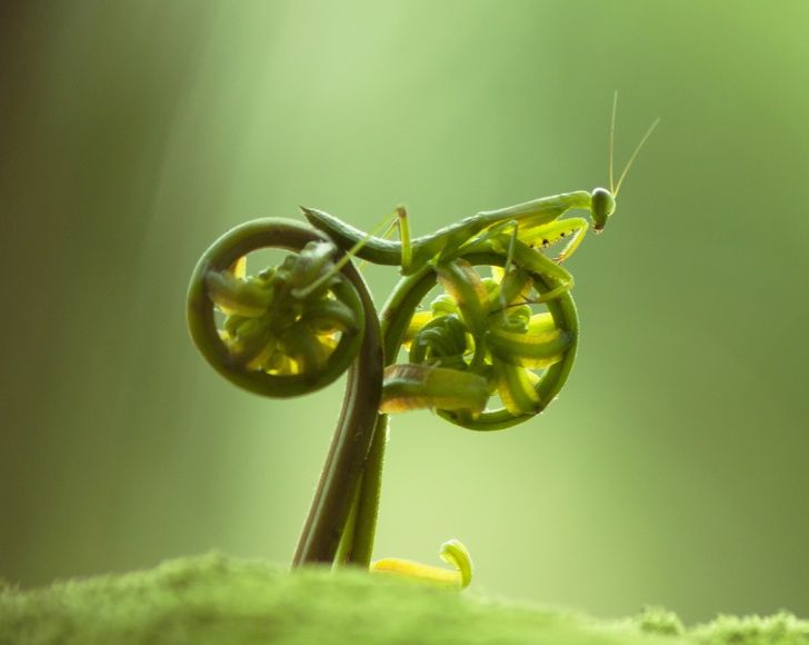 20 Pics That Prove Nature Always Has Something to Show Us