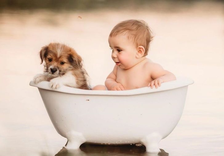 Bir Fotoğrafçı Hayvanlarla Sarılmış Çocukları Yakalar ve Gördüğümüz En Saf Şey